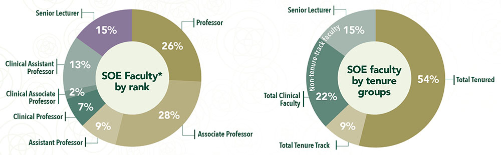 Faculty employed in August 2017